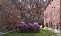 Pine Hill Gardens Apartments Nashua New Hampshire phg-A-02-1.jpg