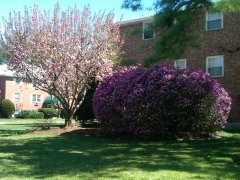 Pine Hill Gardens Apartments Nashua New Hampshire phg-A-02-2.jpg